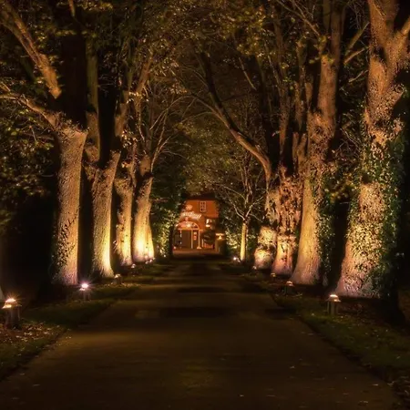 Ammerland 2 Бад-Цвишенан